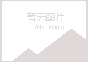 吴川夏槐能源有限公司